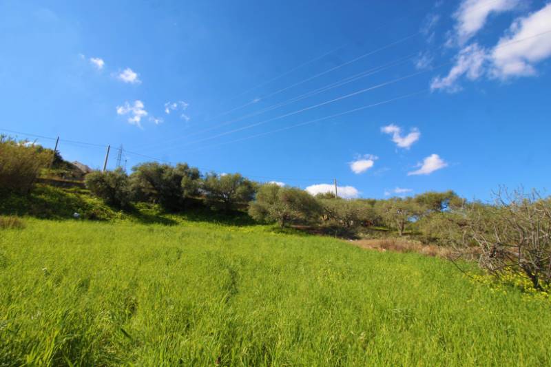  - foto 41