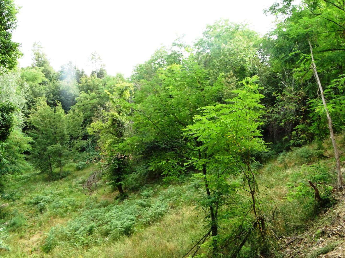  - foto 61