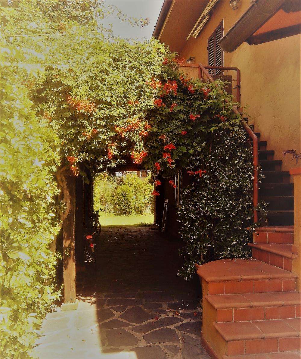  - foto 24