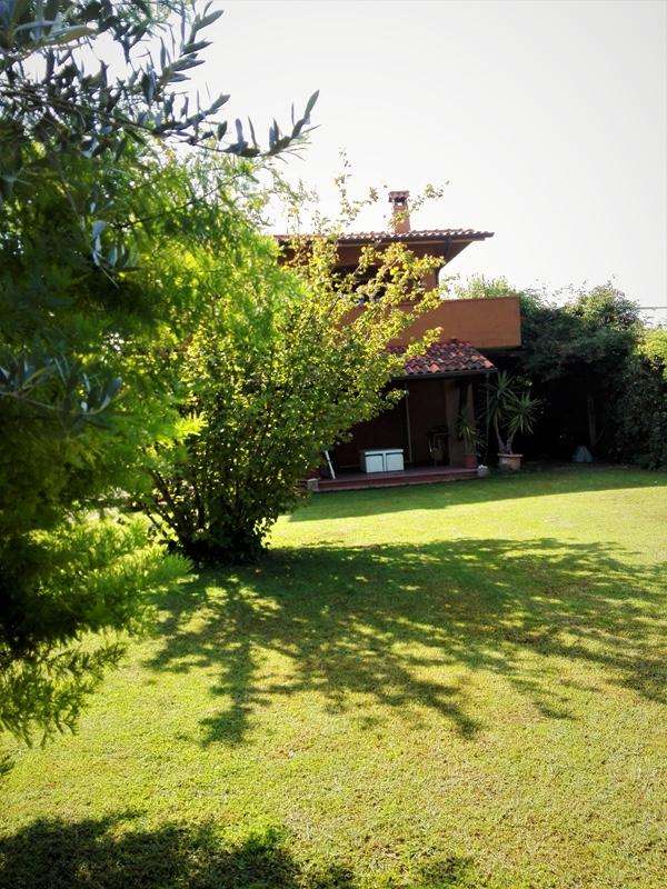  - foto 29