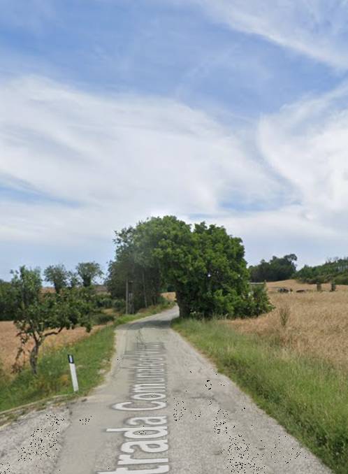 immagine annuncio 6 di 10