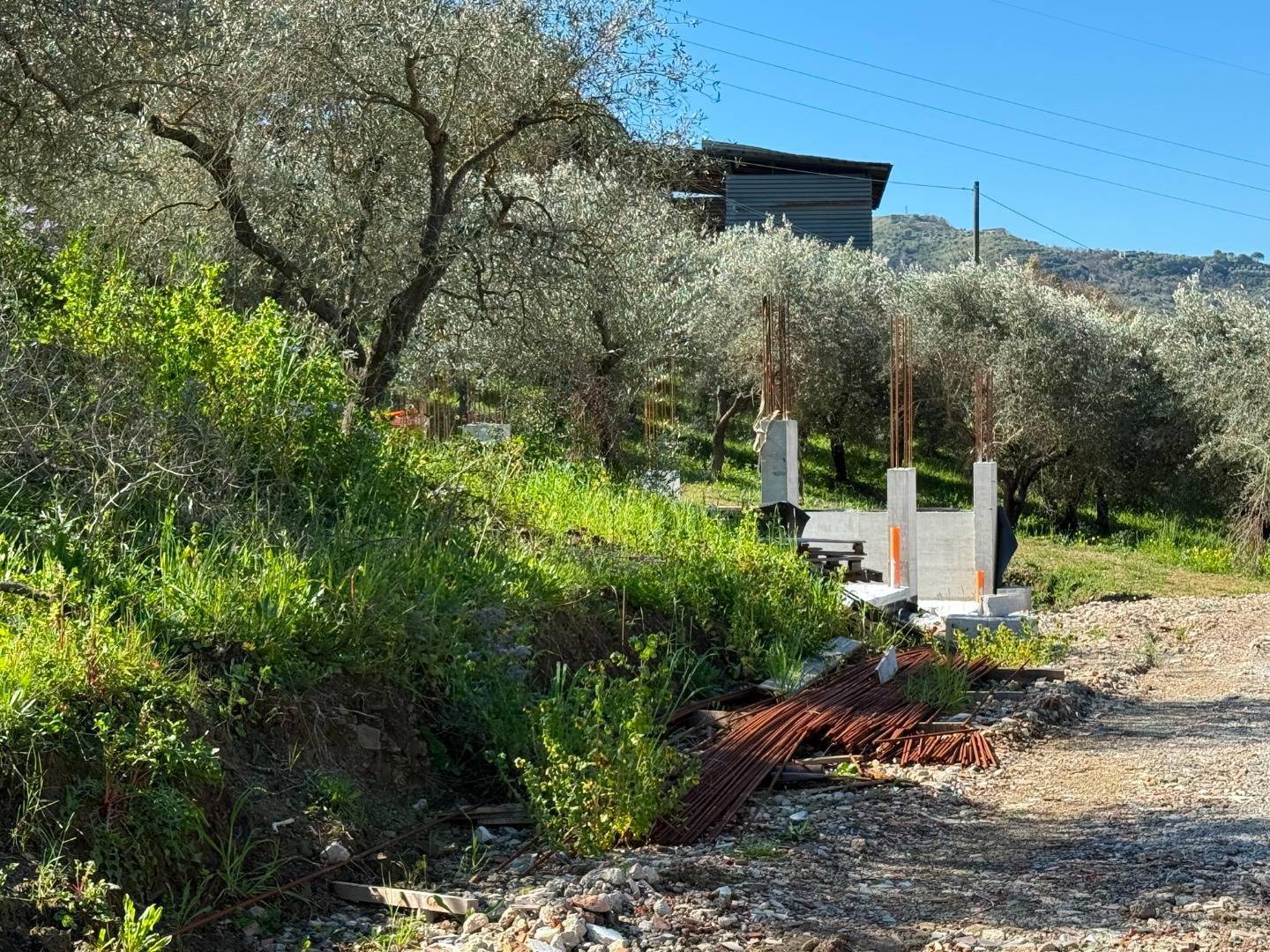 immagine annuncio 5 di 10