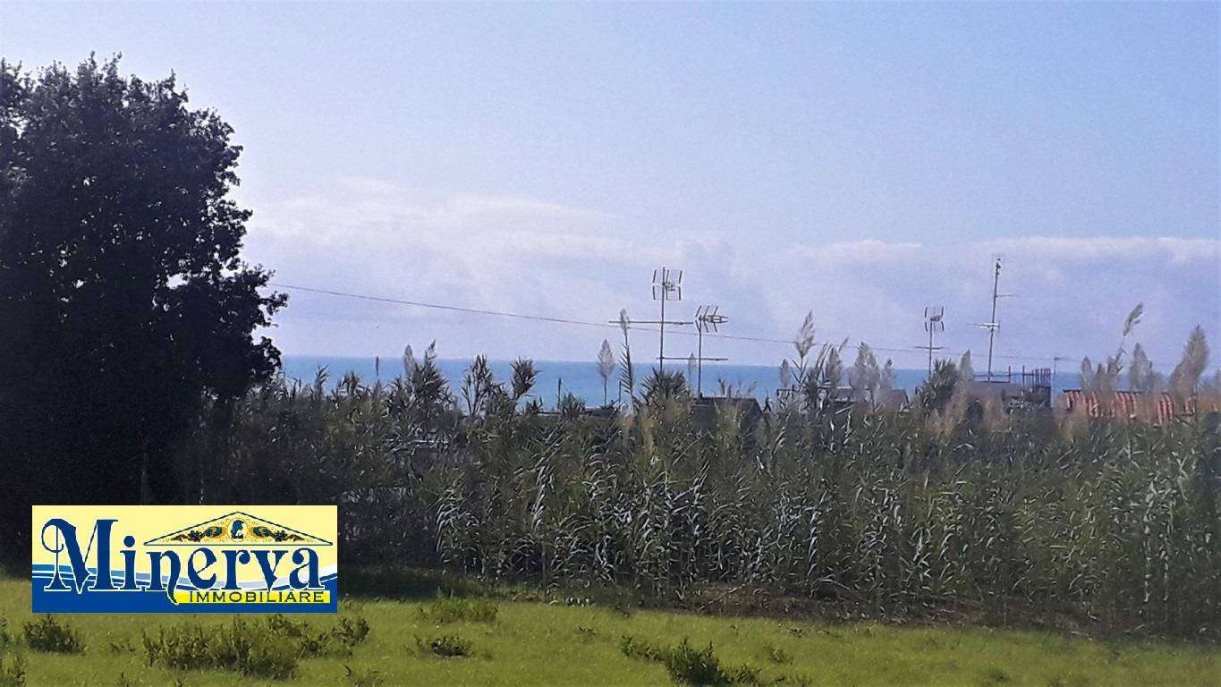  - foto 11