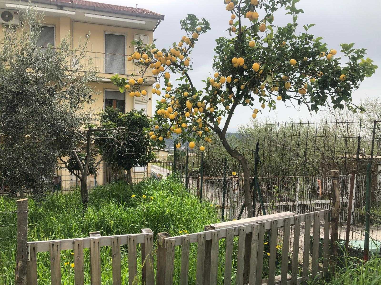 immagine annuncio 11 di 13