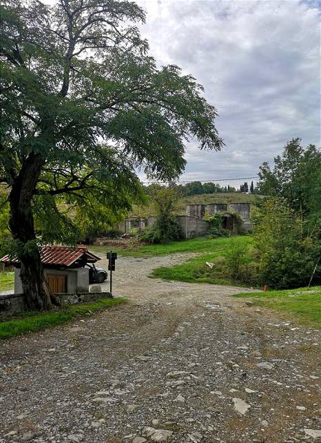 immagine annuncio 4 di 10