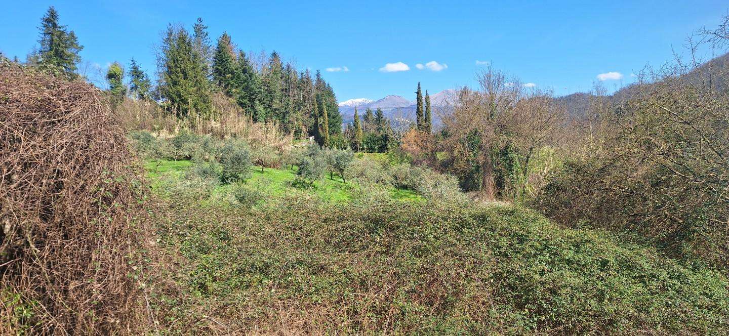 immagine annuncio 3 di 8