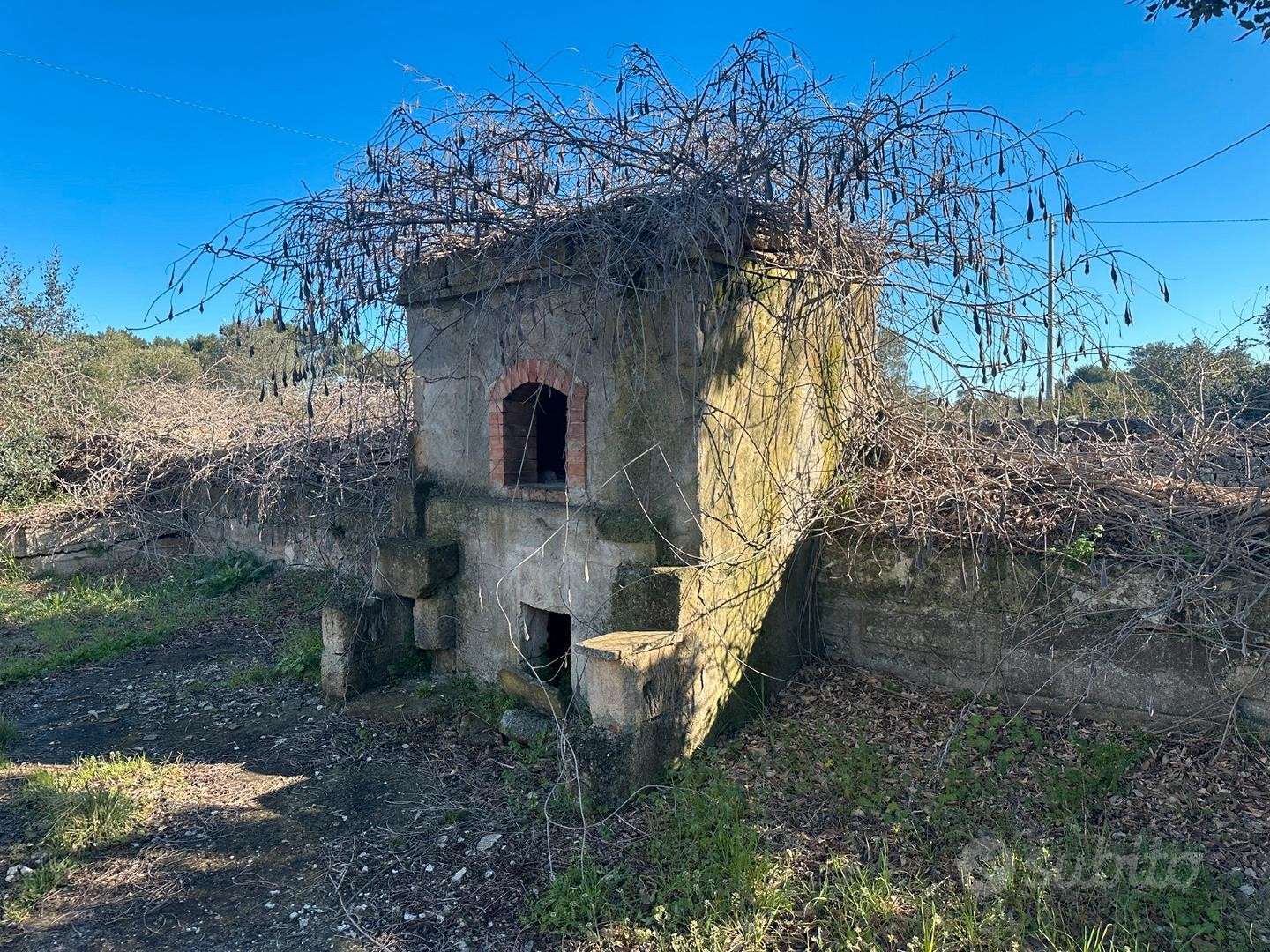 immagine annuncio 11 di 15
