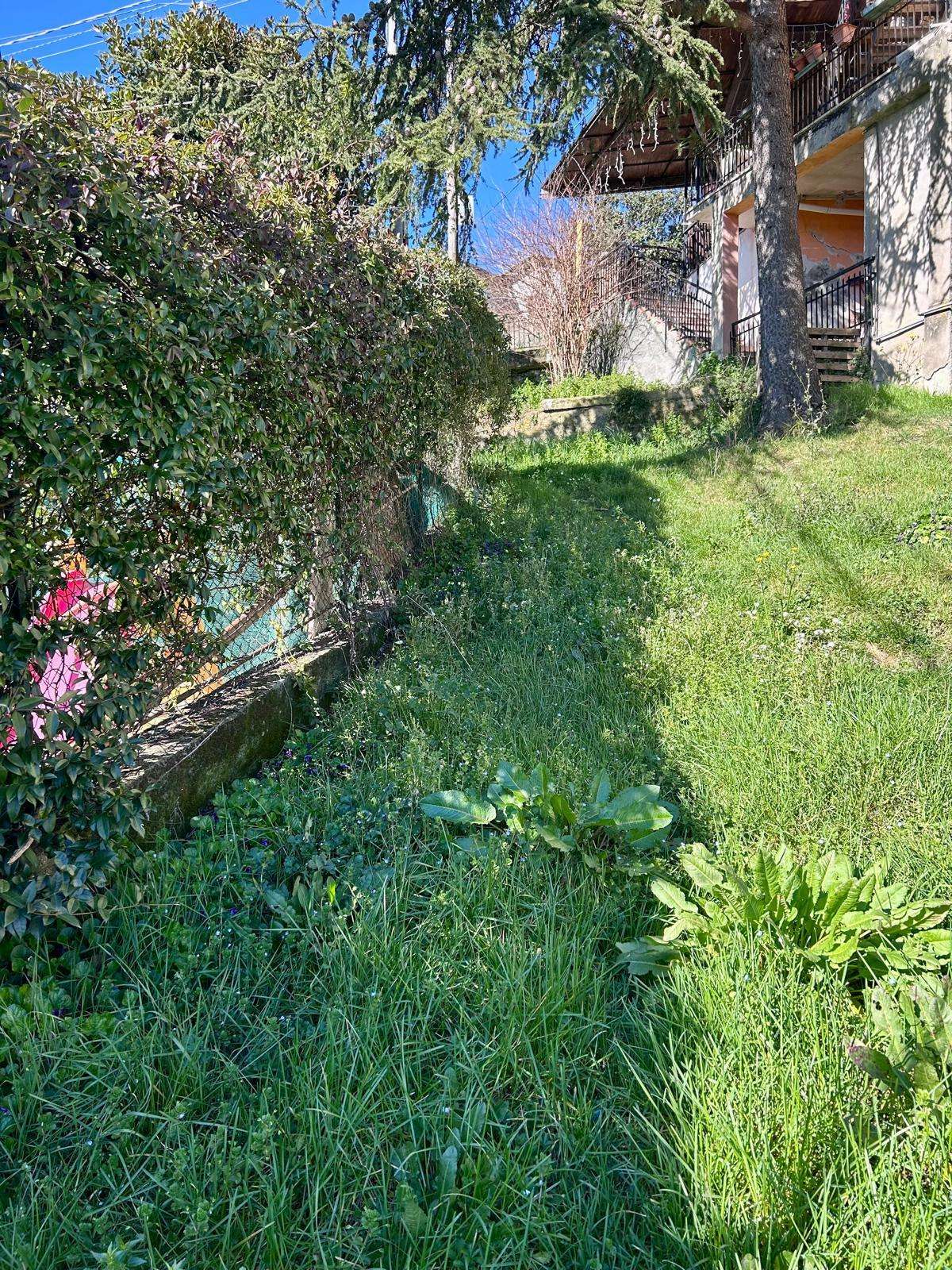  - foto 4