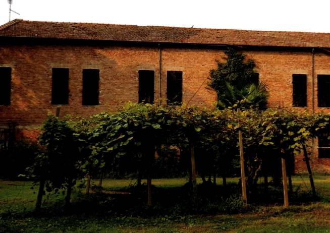 immagine annuncio 1 di 10