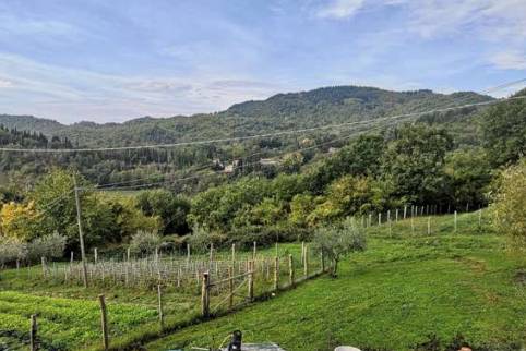 immagine annuncio 2 di 10
