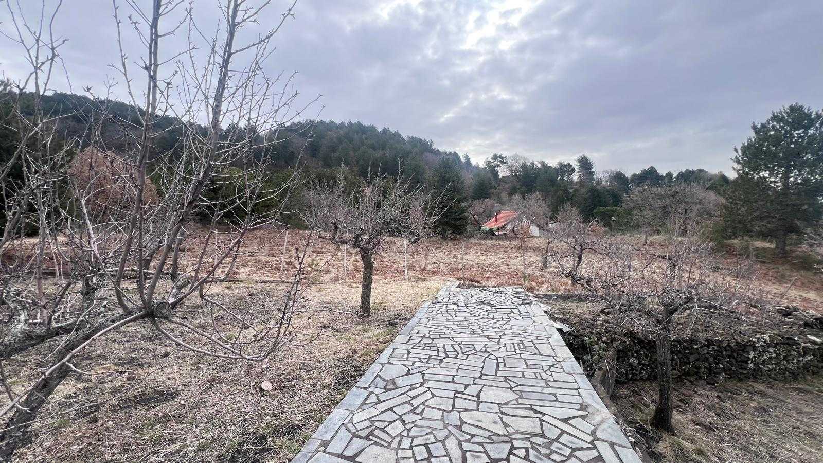  - foto 28