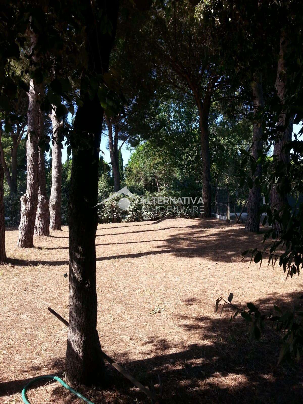  - foto 10