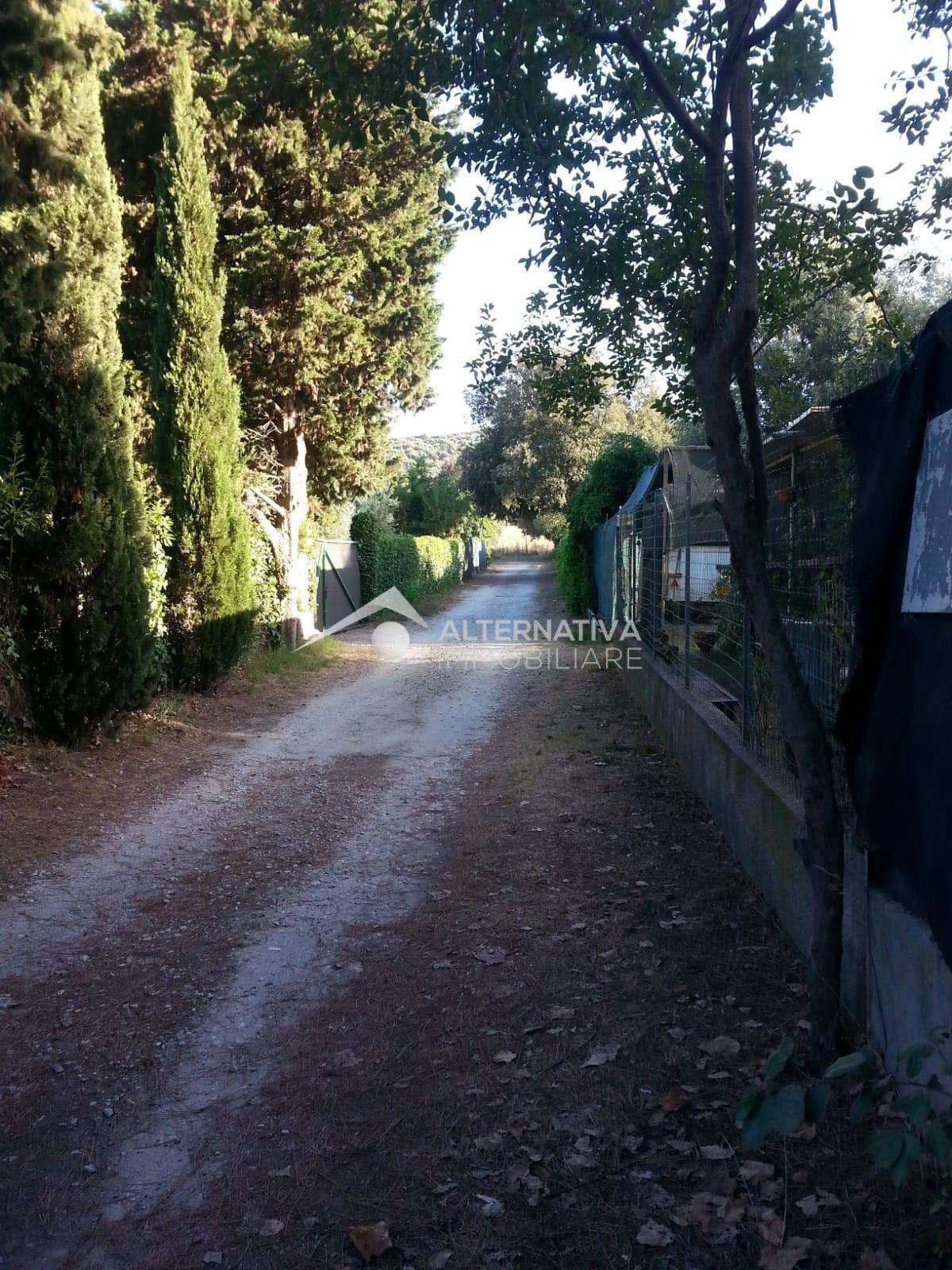  - foto 13
