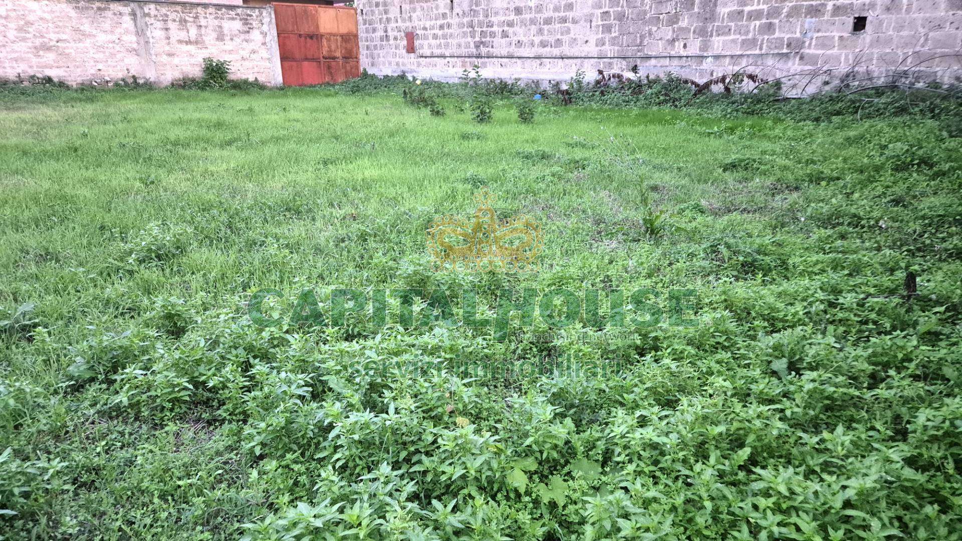  - foto 24