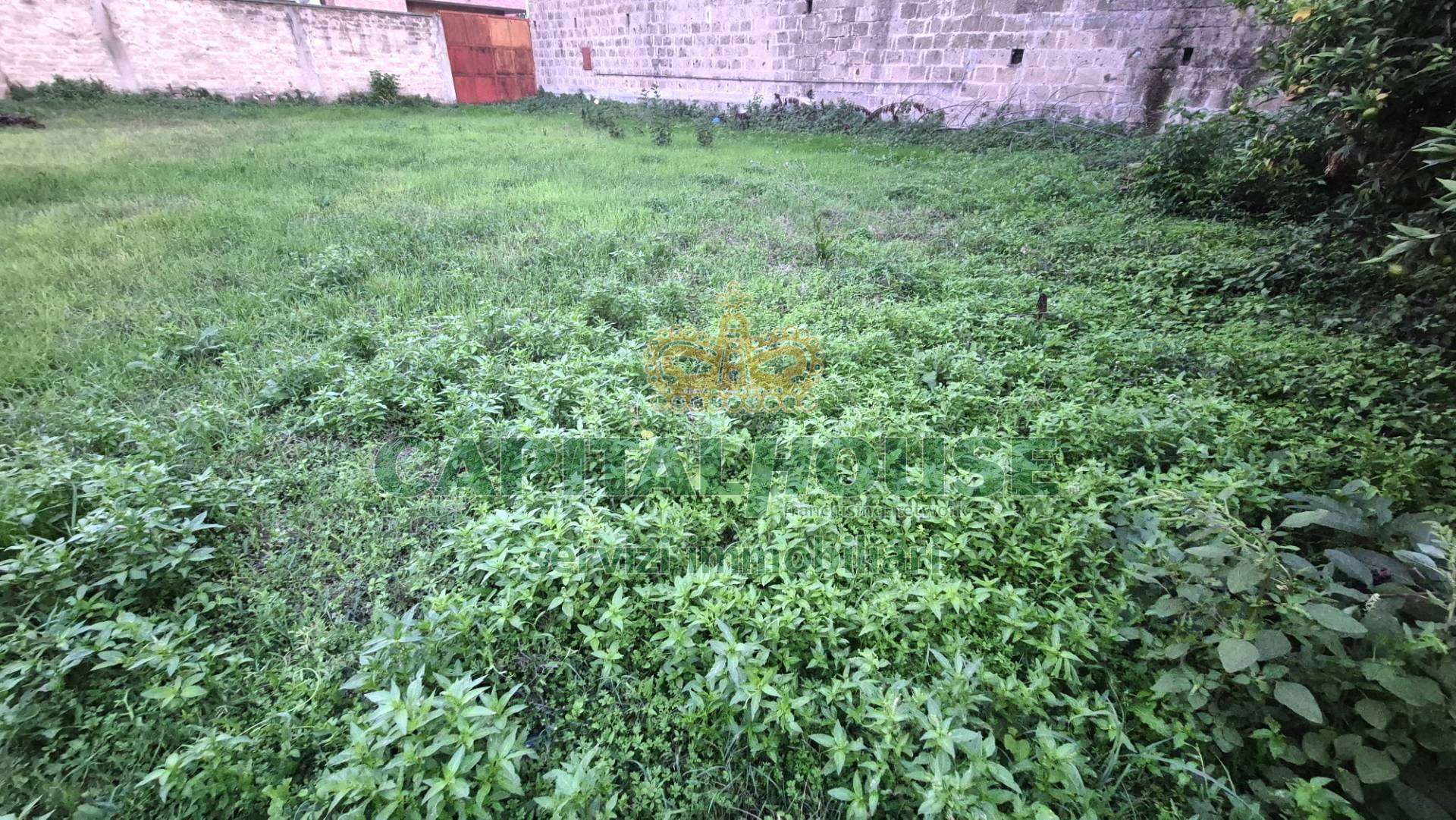  - foto 25