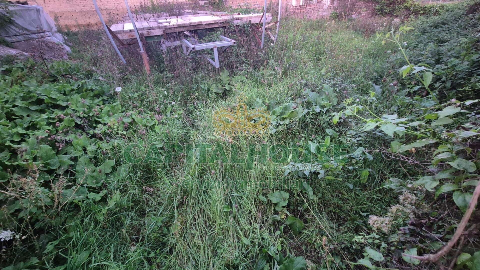  - foto 23