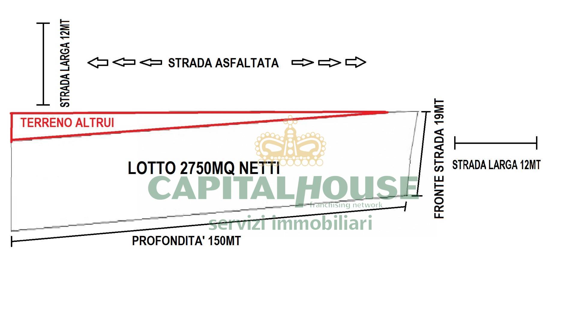 immagine annuncio 3 di 11