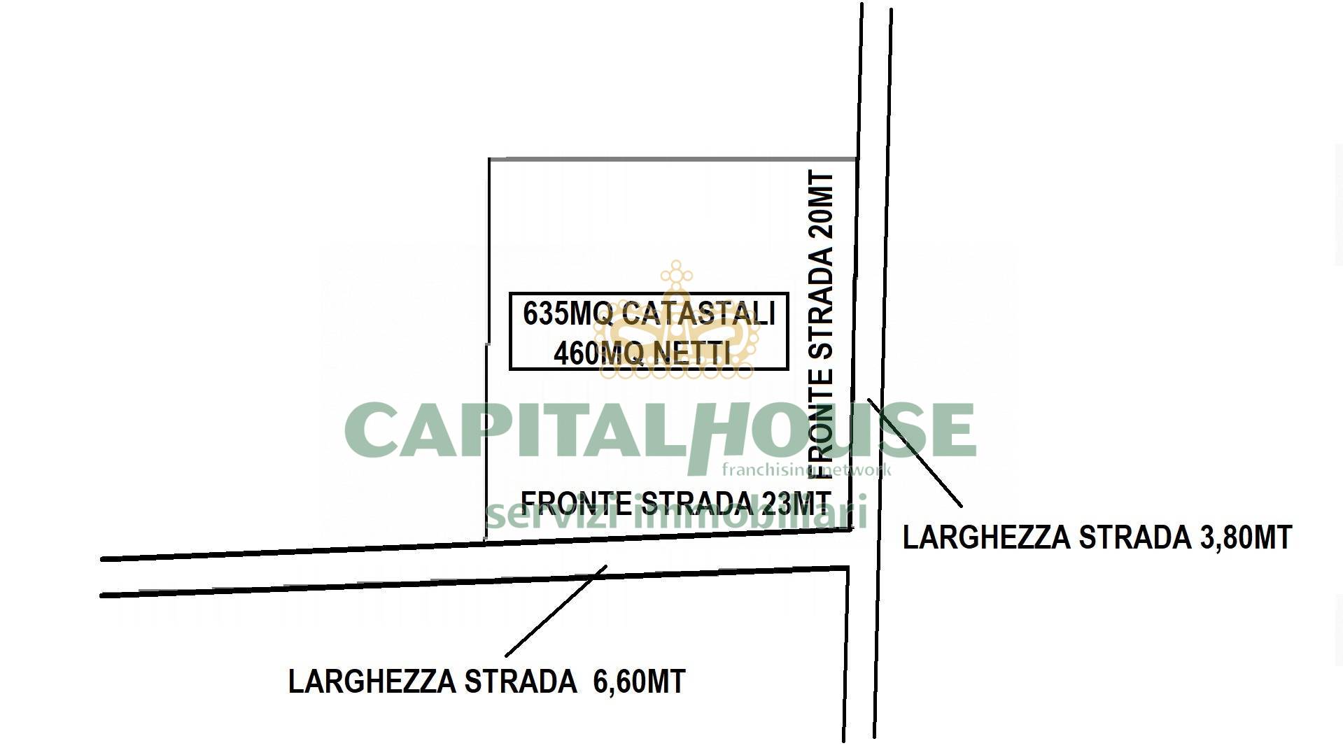 immagine annuncio 3 di 11