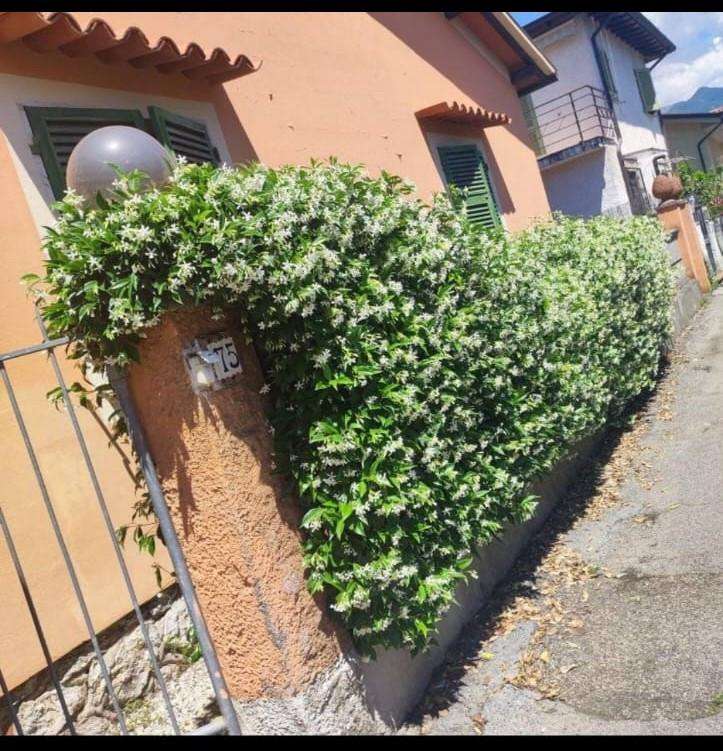 immagine annuncio 2 di 11