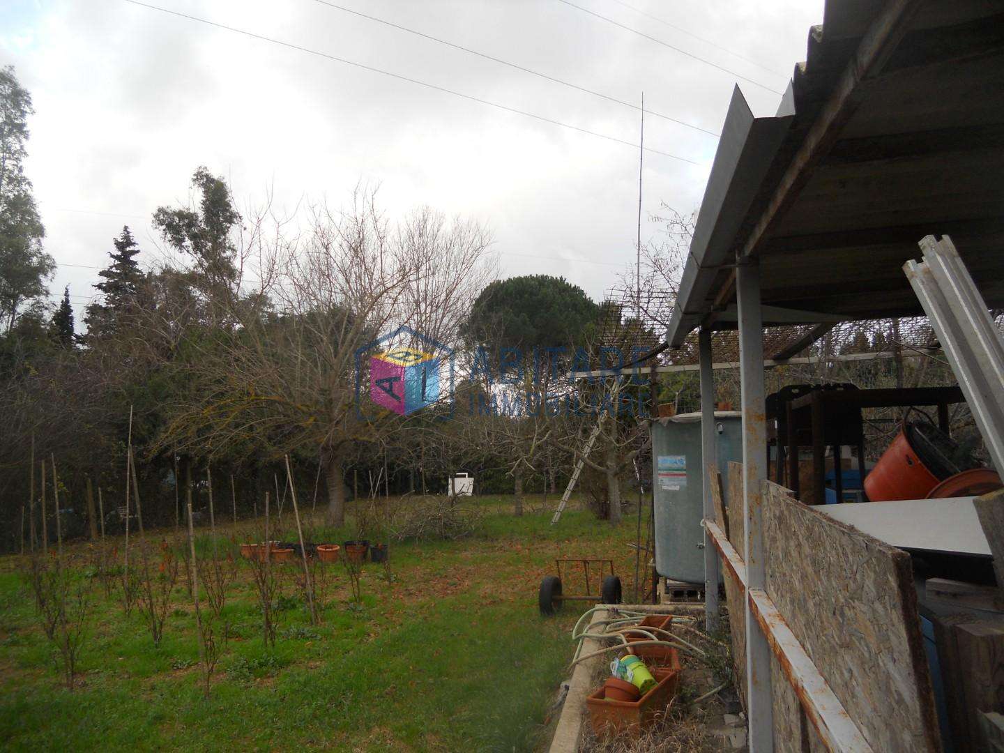  - foto 4