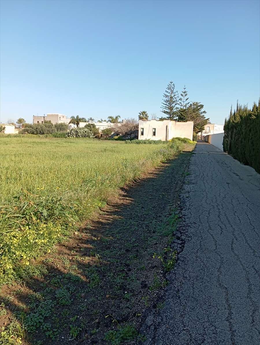 immagine annuncio 3 di 12