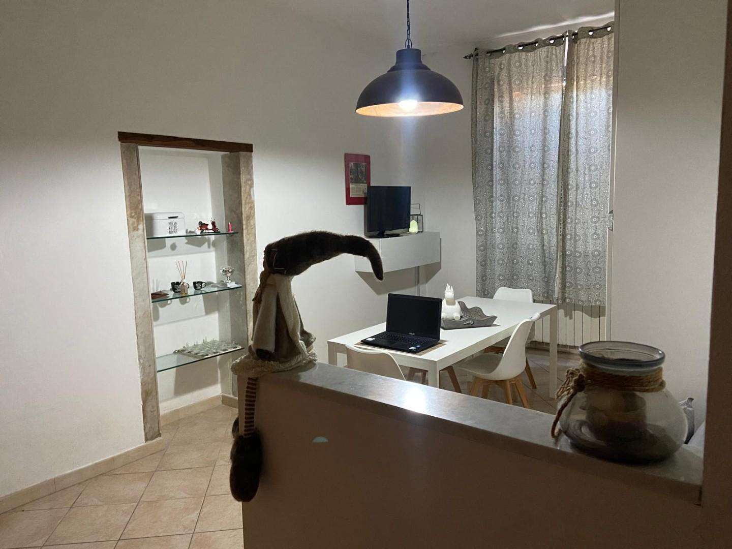 Appartamento Carrara MS,, Carrara