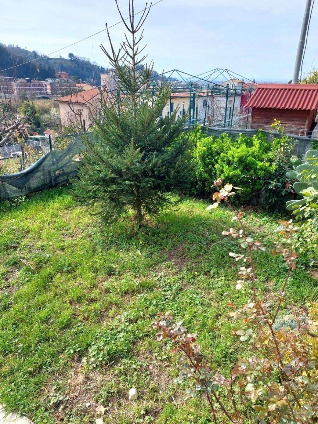  - foto 37