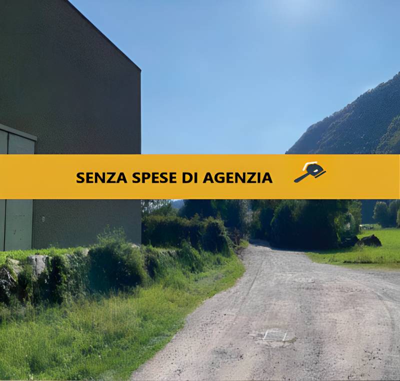 immagine annuncio 1 di 9
