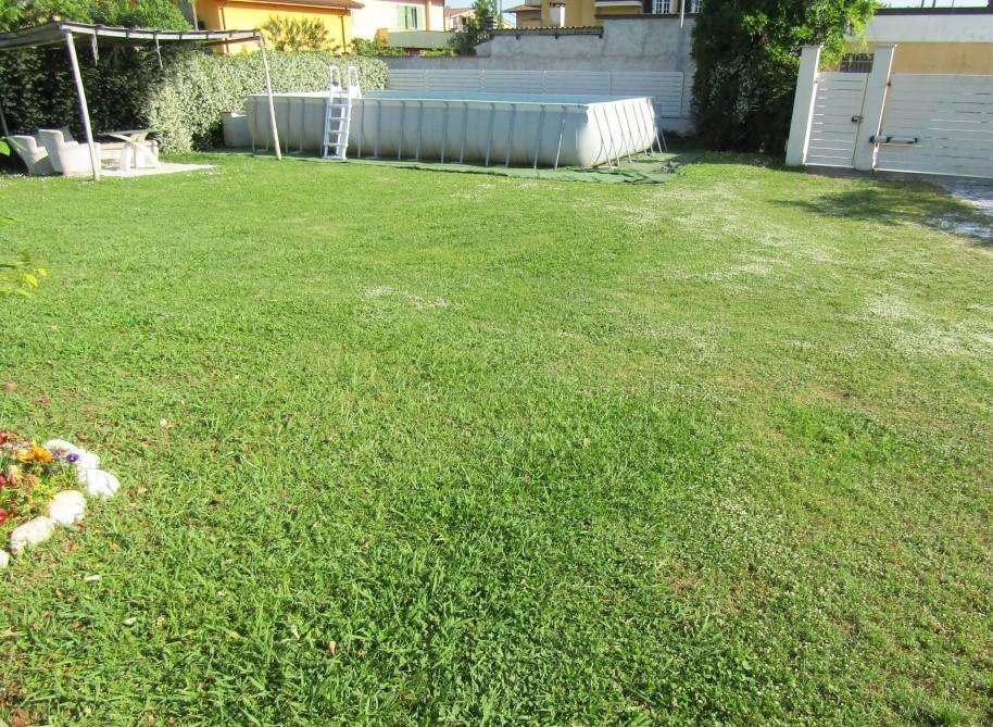  - foto 34