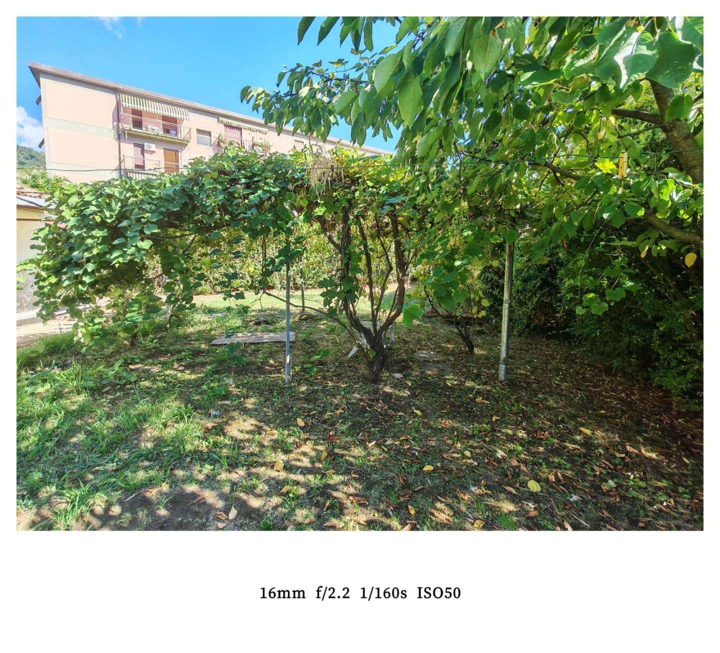  - foto 52
