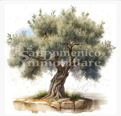 Terreno agricolo Calci PI,, Calci