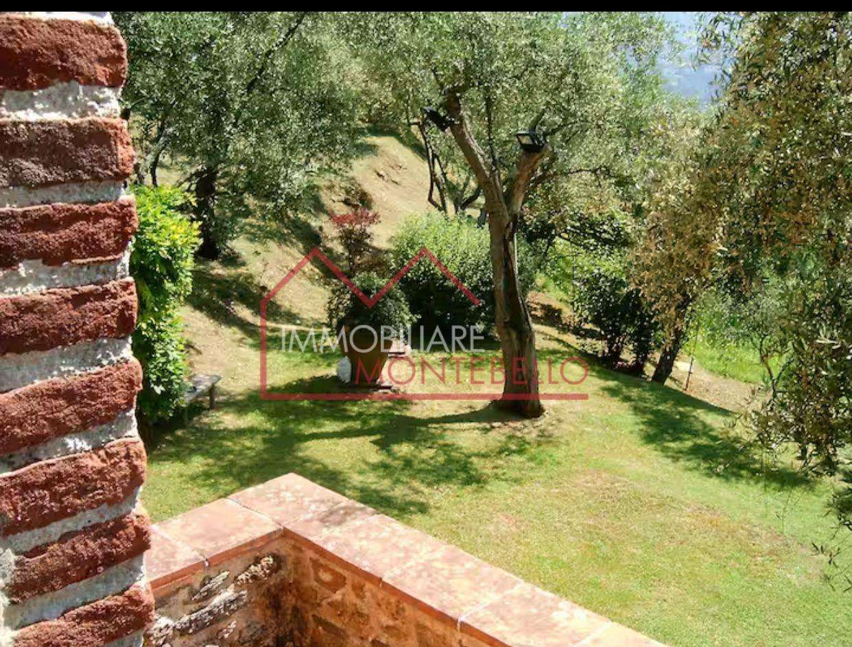 immagine annuncio 9 di 14