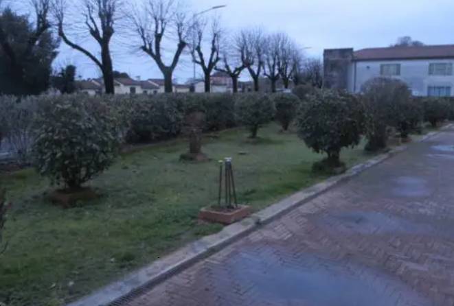 immagine annuncio 9 di 10