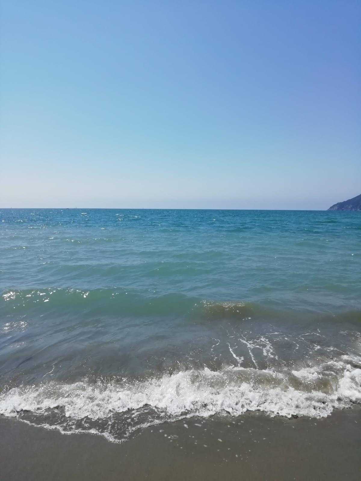  - foto 9