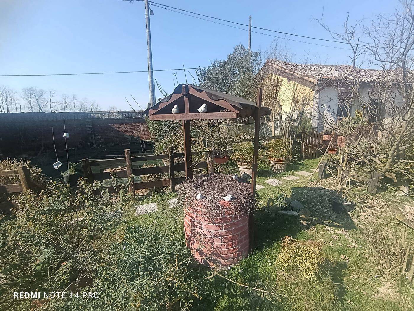 immagine annuncio 4 di 10