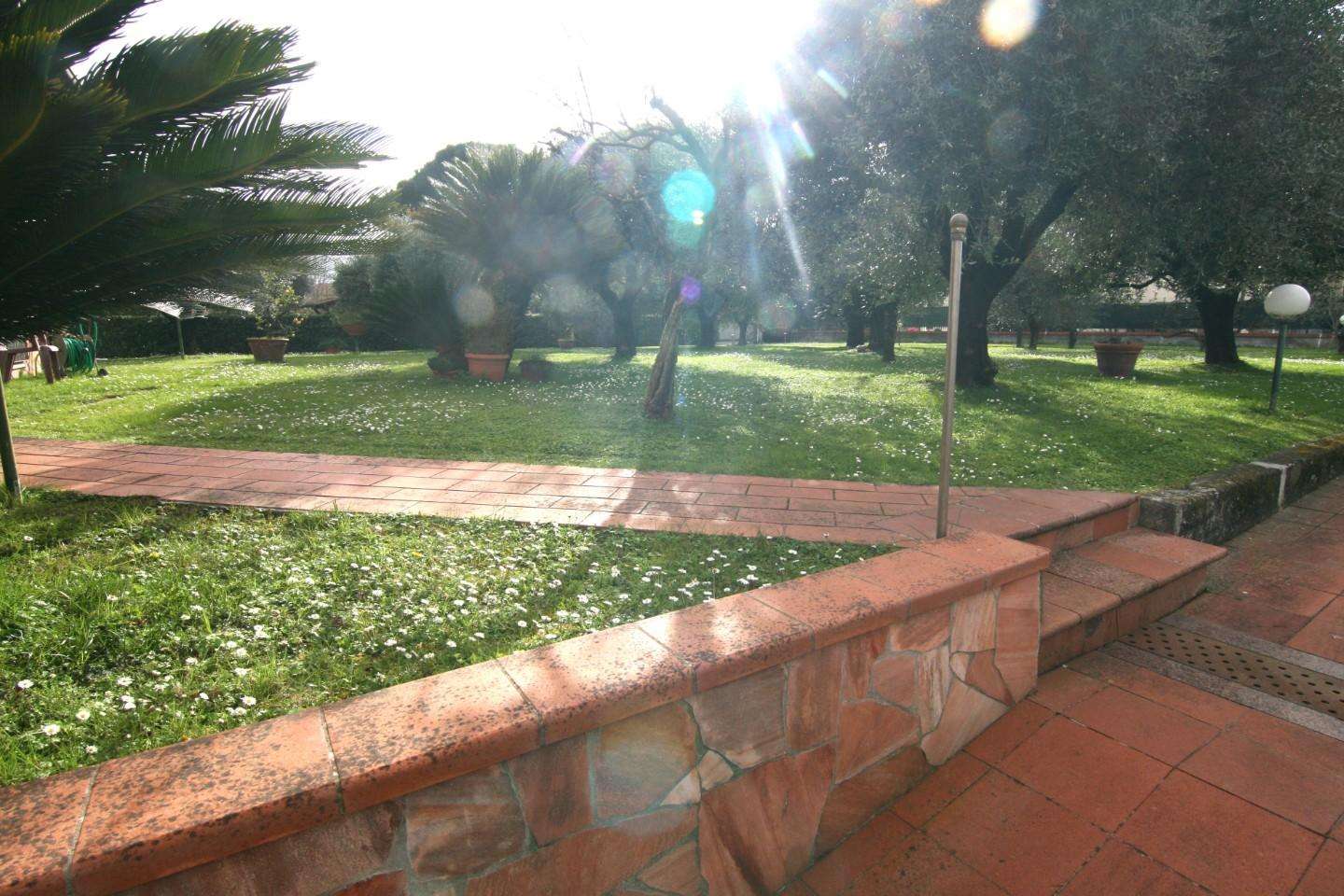  - foto 18