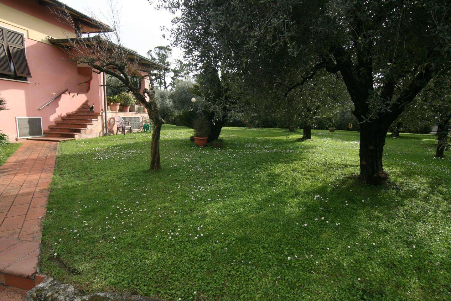  - foto 19