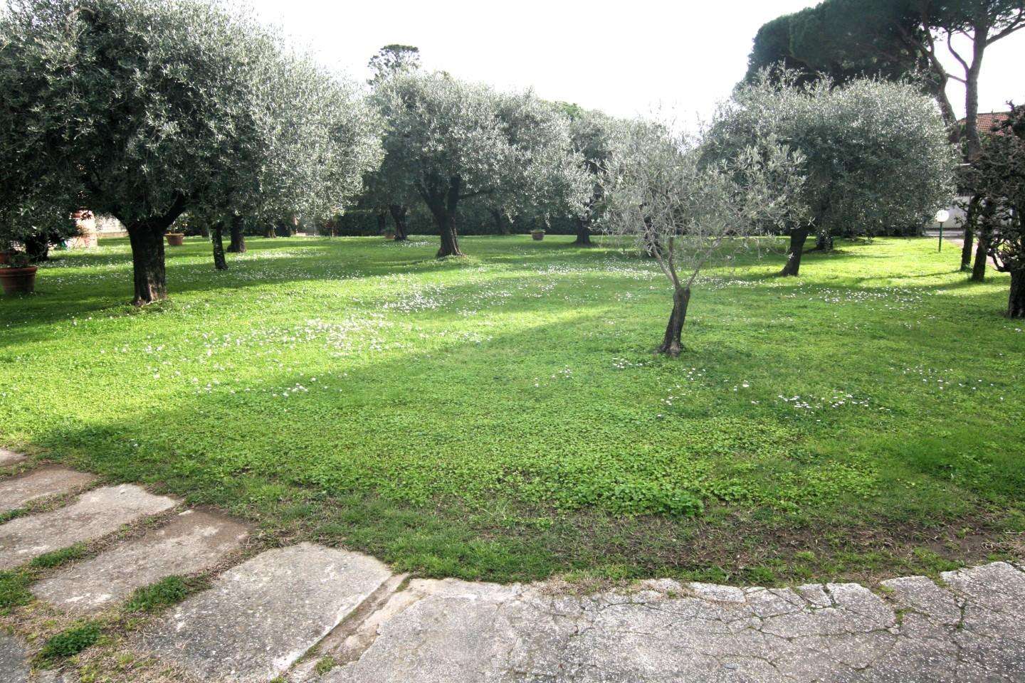  - foto 20