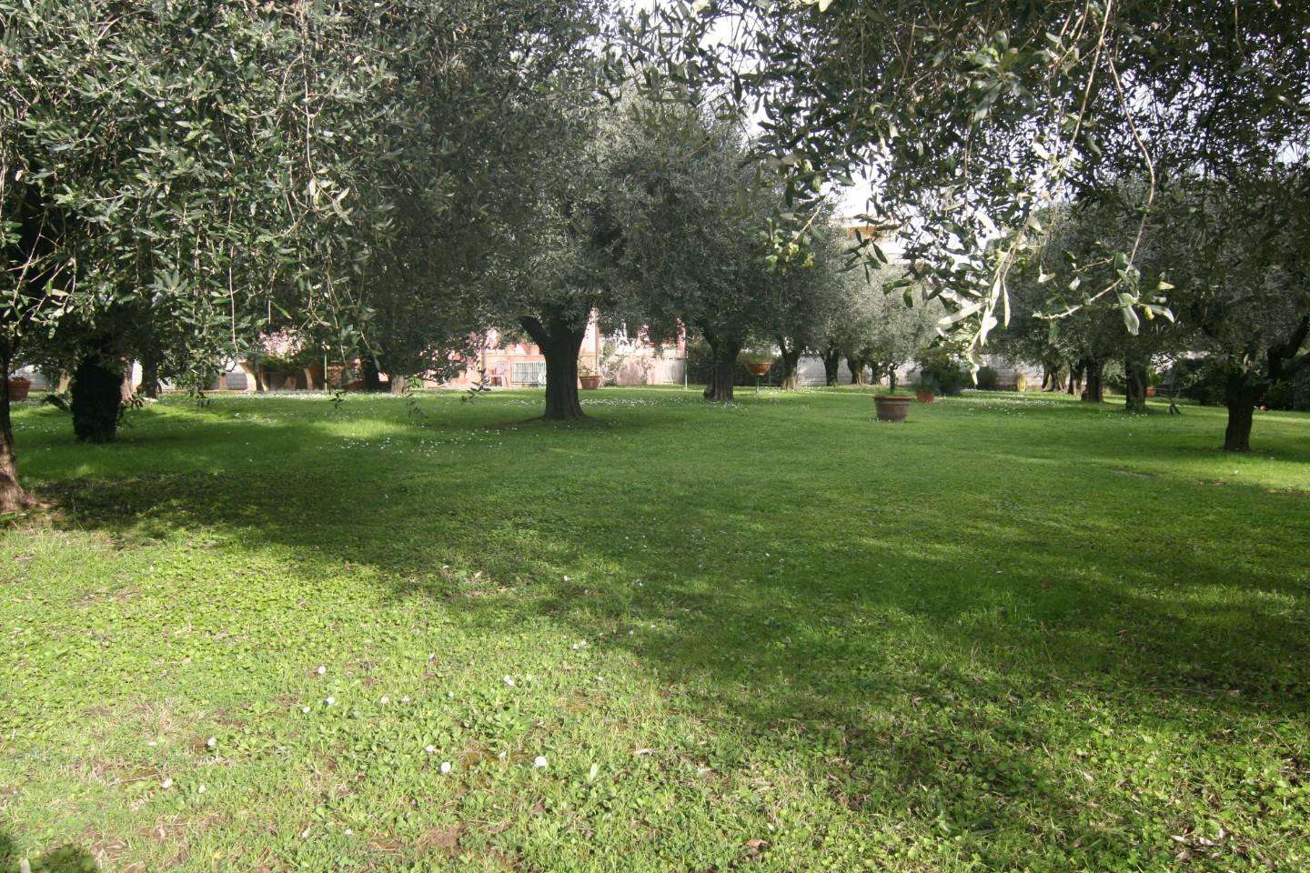  - foto 21