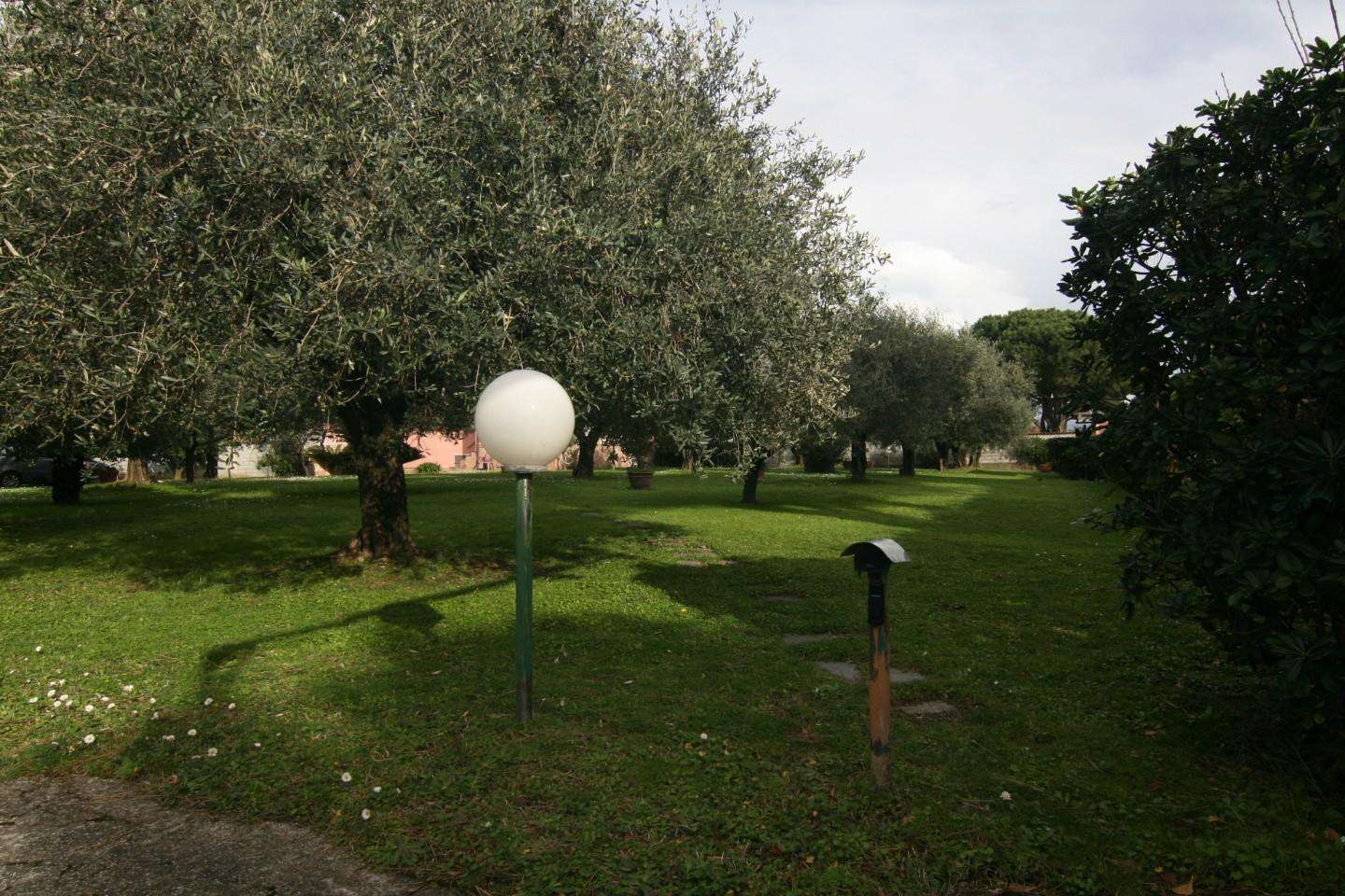  - foto 22