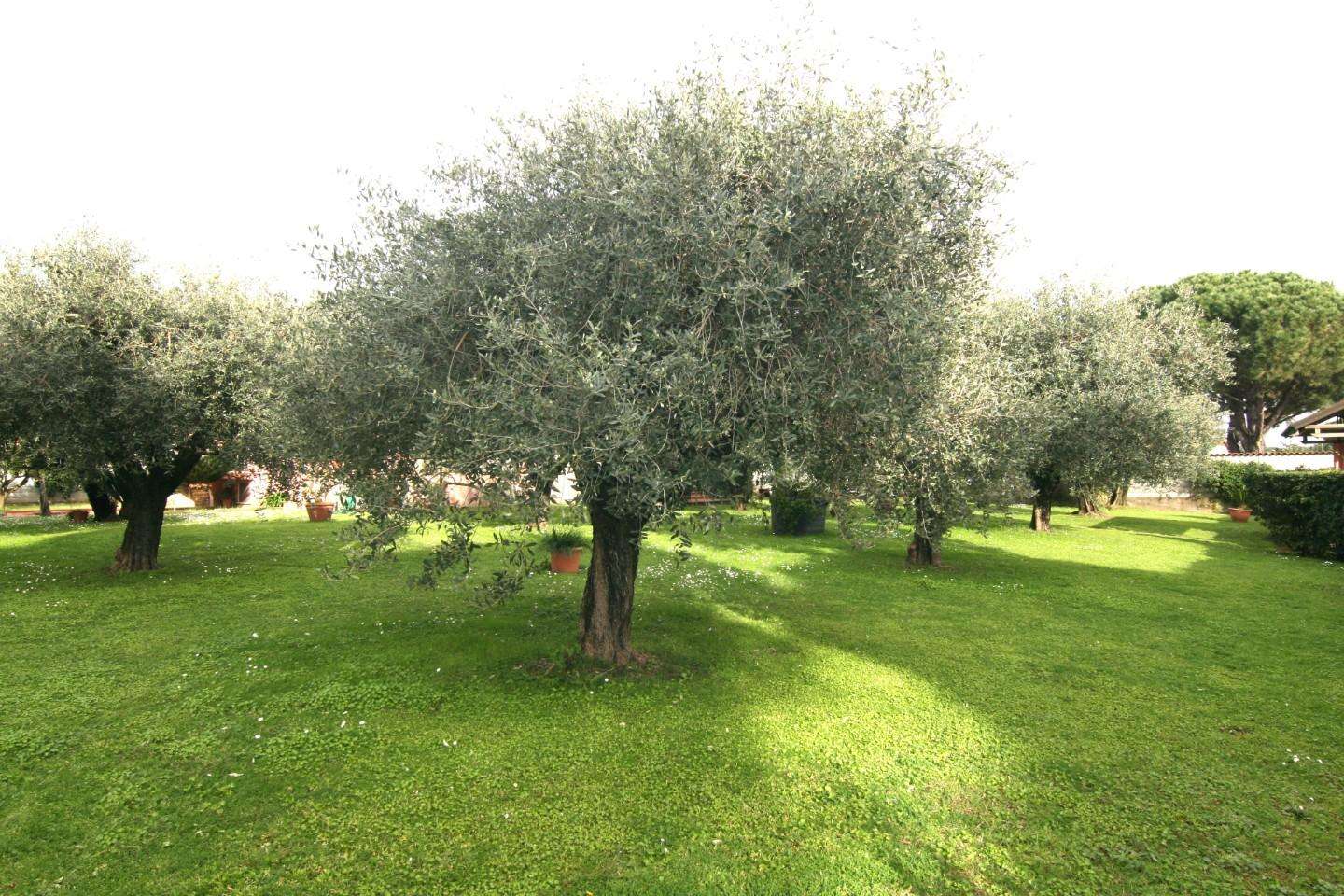  - foto 23