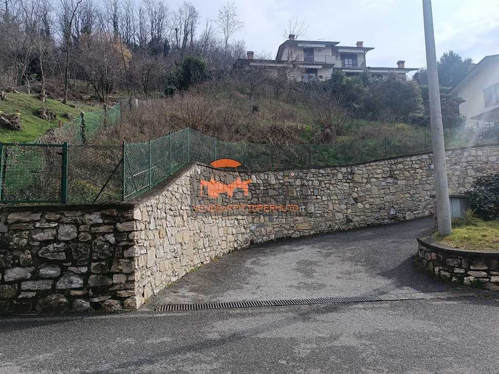 immagine annuncio 5 di 13
