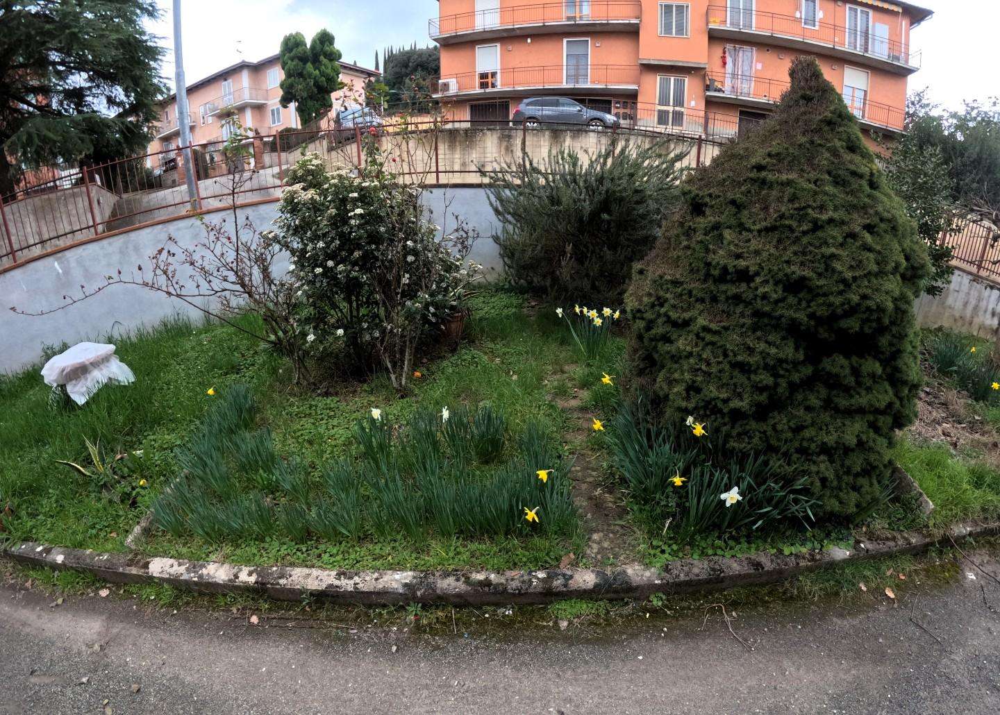  - foto 12
