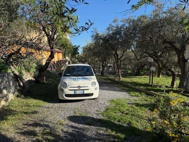 immagine annuncio 12 di 15