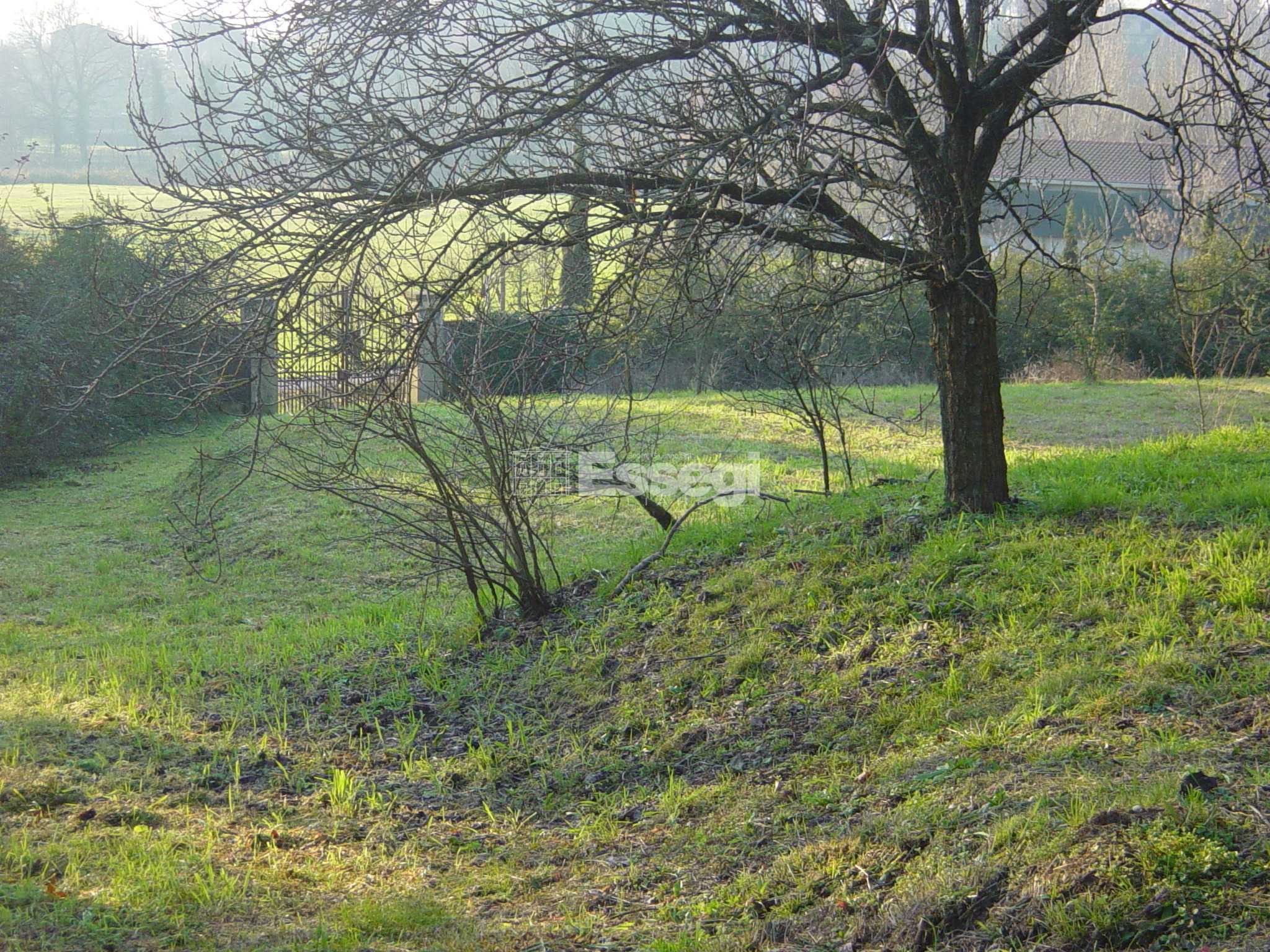  - foto 12