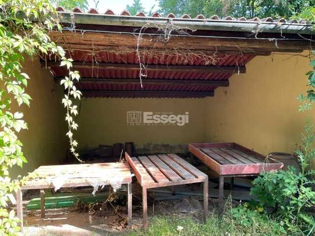  - foto 51