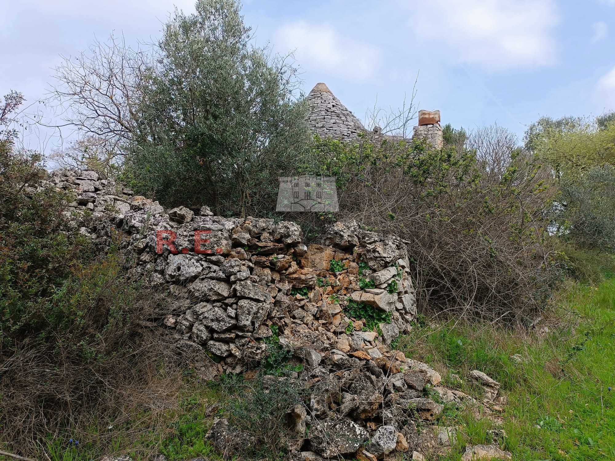  - foto 6