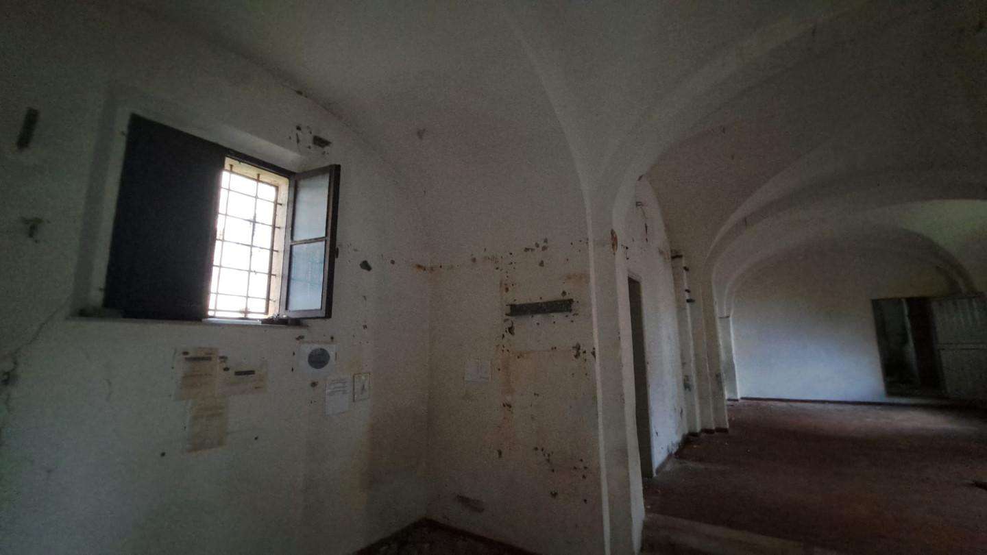  - foto 6