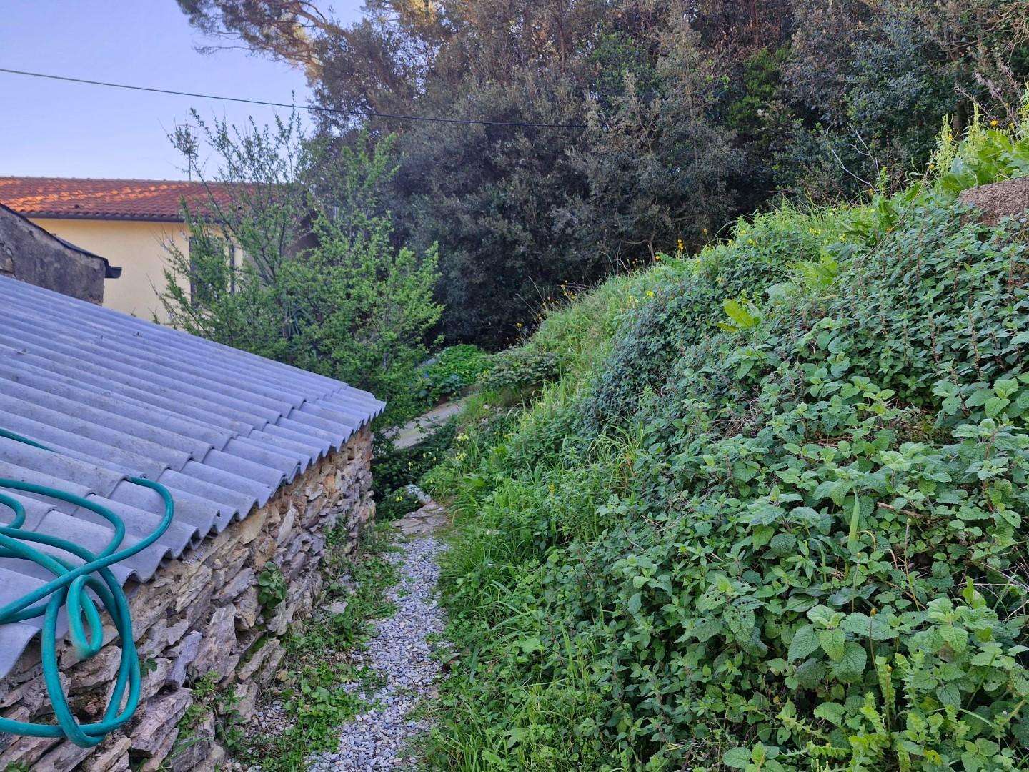  - foto 29