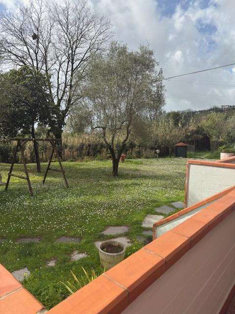  - foto 20